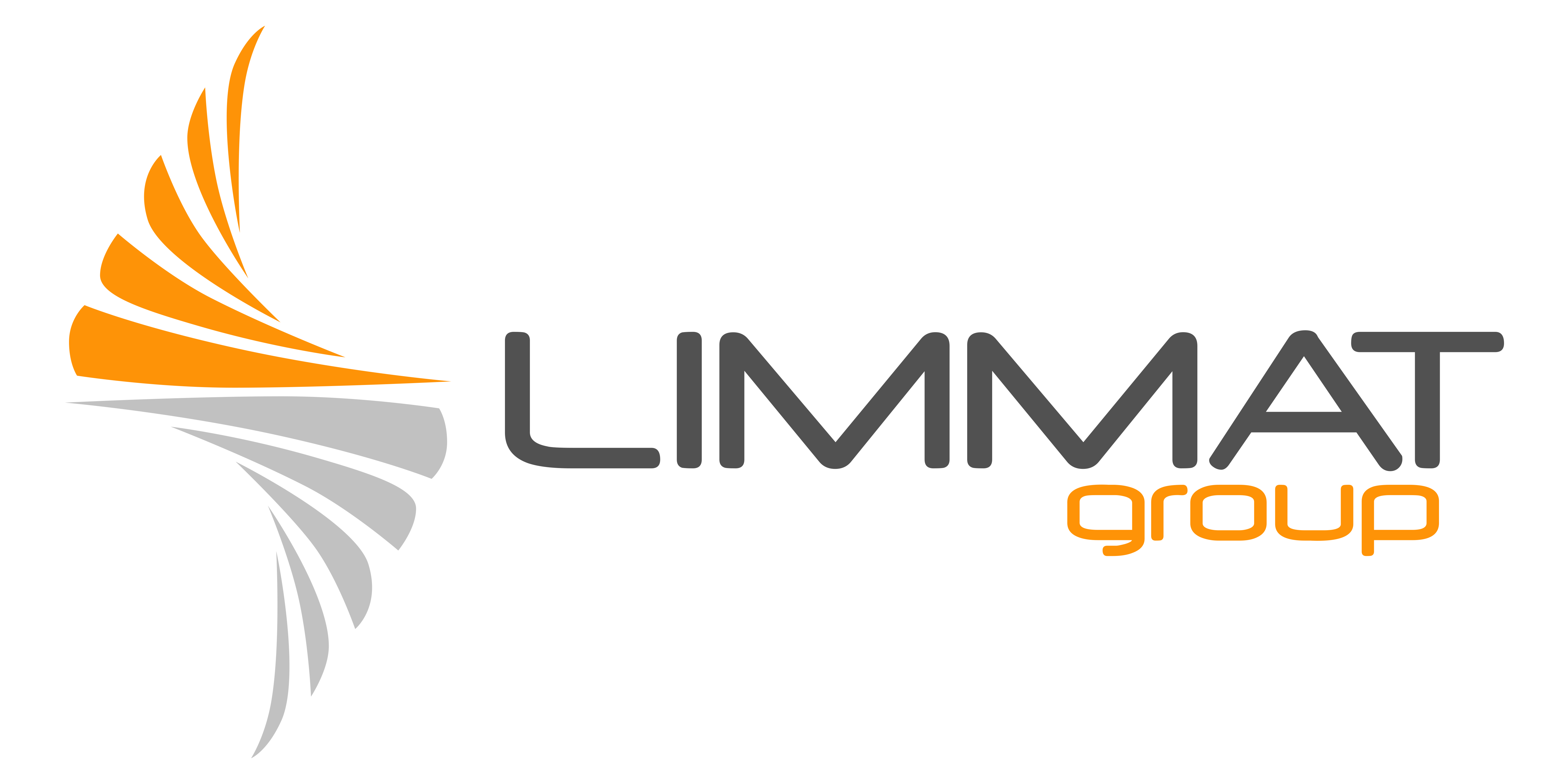 LIMMAT GROUP